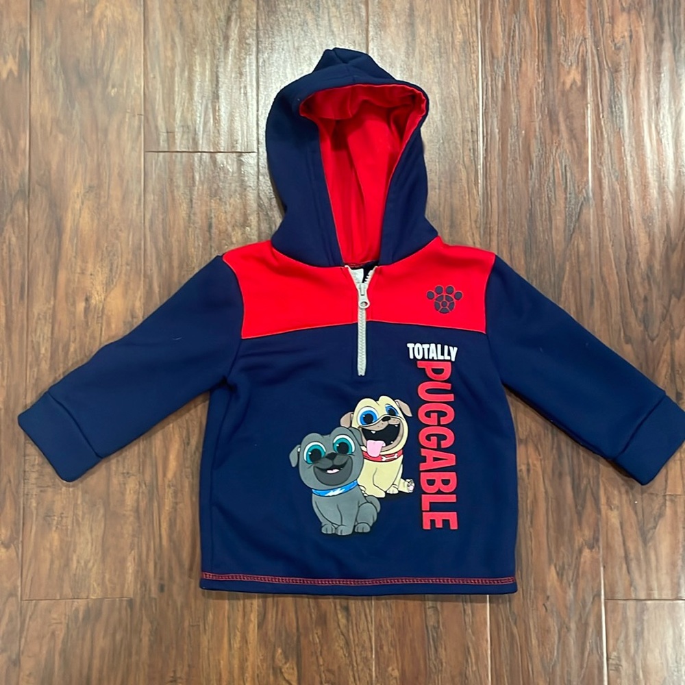 2T Puppy Dog Pals Hoodie